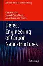 Defect Engineering of Carbon Nanostructures