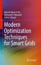 Modern Optimization Techniques for Smart Grids