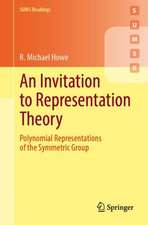 An Invitation to Representation Theory: Polynomial Representations of the Symmetric Group