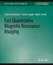 Fast Quantitative Magnetic Resonance Imaging