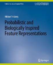 Probabilistic and Biologically Inspired Feature Representations