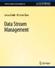 Data Stream Management