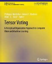 Tensor Voting: A Perceptual Organization Approach to Computer Vision and Machine Learning