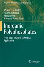 Inorganic Polyphosphates: From Basic Research to Medical Application