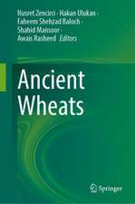 Ancient Wheats