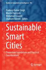 Sustainable Smart Cities: Theoretical Foundations and Practical Considerations