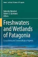 Freshwaters and Wetlands of Patagonia: Ecosystems and Socioecological Aspects