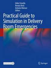 Practical Guide to Simulation in Delivery Room Emergencies