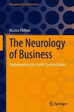 The Neurology of Business: Implementing the Viable System Model