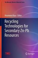 Recycling Technologies for Secondary Zn-Pb Resources