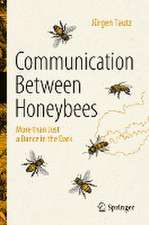 Communication Between Honeybees: More than Just a Dance in the Dark