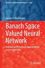 Banach Space Valued Neural Network: Ordinary and Fractional Approximation and Interpolation