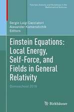 Einstein Equations: Local Energy, Self-Force, and Fields in General Relativity: Domoschool 2019