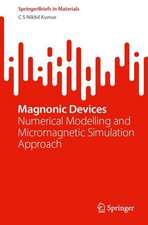 Magnonic Devices: Numerical Modelling and Micromagnetic Simulation Approach