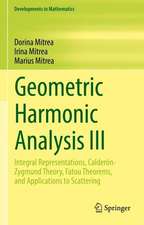 Geometric Harmonic Analysis III