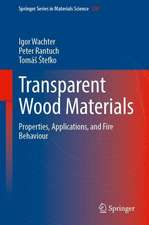 Transparent Wood Materials: Properties, Applications, and Fire Behaviour