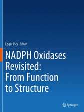 NADPH Oxidases Revisited: From Function to Structure