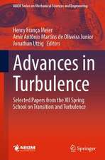 Advances in Turbulence: Selected Papers from the XII Spring School on Transition and Turbulence