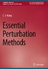 Essential Perturbation Methods