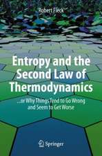 Entropy and the Second Law of Thermodynamics: ... or Why Things Tend to Go Wrong and Seem to Get Worse