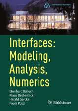 Interfaces: Modeling, Analysis, Numerics