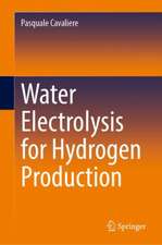 Water Electrolysis for Hydrogen Production