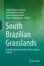 South Brazilian Grasslands