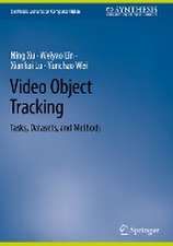 Video Object Tracking