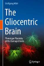 The Gliocentric Brain: Phenotype Plasticity of the Damaged Brain