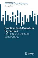 Practical Post-Quantum Signatures