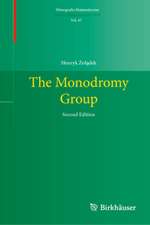 The Monodromy Group