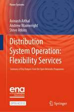 Distribution System Operation: Flexibility Services