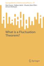 What is a Fluctuation Theorem?