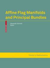 Affine Flag Manifolds and Principal Bundles