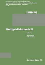 Multigrid Methods III