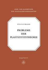 Probleme der Plastizitätstheorie