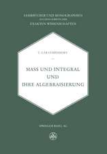 Mass und Integral und ihre Algebraisierung