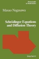 Schrödinger Equations and Diffusion Theory