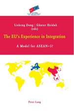 The Eu's Experience in Integration