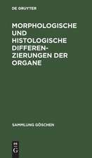 Morphologische und histologische Differenzierungen der Organe