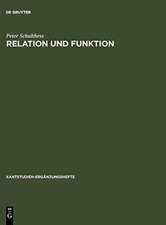 Relation und Funktion: Eine systematische und entwicklungsgeschichtliche Untersuchung zur theoretischen Philosophie Kants