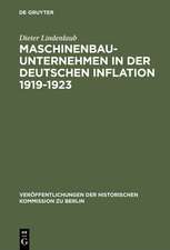 Maschinenbauunternehmen in der Deutschen Inflation 1919–1923: Unternehmenshistorische Untersuchungen zu einigen Inflationstheorien