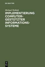 Implementierung computergestützter Informationssysteme: Perspektive und Politik informationstechnologischer Gestaltung