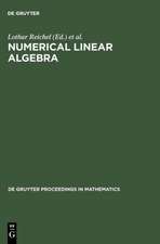 Numerical Linear Algebra: Proceedings of the Conference in Numerical Linear Algebra and Scientific Computation, Kent (Ohio), USA March 13-14, 1992