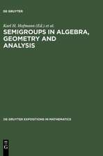 Semigroups in Algebra, Geometry and Analysis