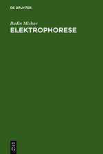 Elektrophorese: Theorie und Praxis