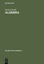 Algebra: Einführung in die Galoistheorie