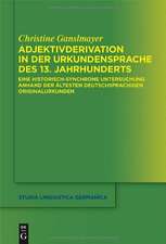 Adjektivderivation in der Urkundensprache des 13. Jahrhunderts: Eine historisch-synchrone Untersuchung anhand der ältesten deutschsprachigen Originalurkunden