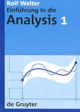 Rolf Walter: Einführung in die Analysis. 1