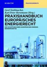 Praxishandbuch Europäisches Energierecht: Die Schaffung eines europäischen Energie-Binnenmarktes